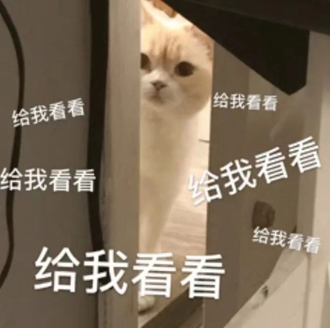 兼职猫传销兼职_兼职_在家兼职兼职