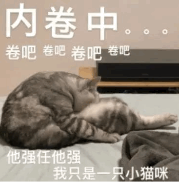 兼职_兼职猫传销兼职_在家兼职兼职