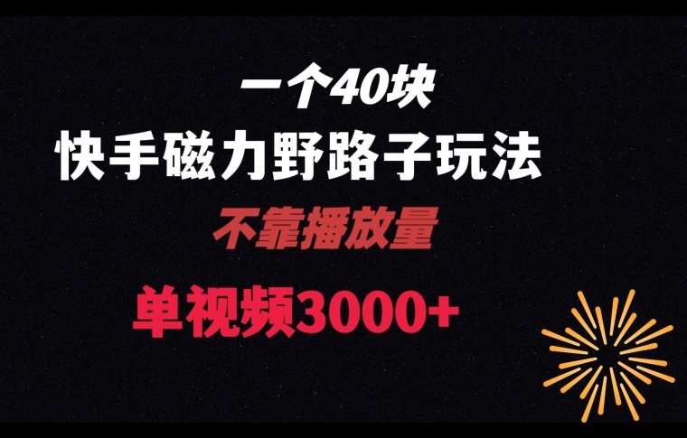 一个40块，快手联合美团磁力新玩法，没有视机制野路子玩法，单视频收益4位数【揭秘】