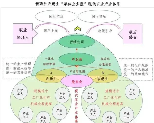 加力苹果好吃吗_加力苹果口感_加力果和苹果哪个好