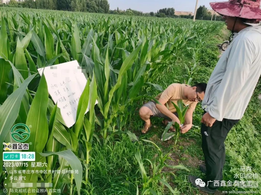 除草剂怎么配法_除草剂怎么配方_除草剂配方