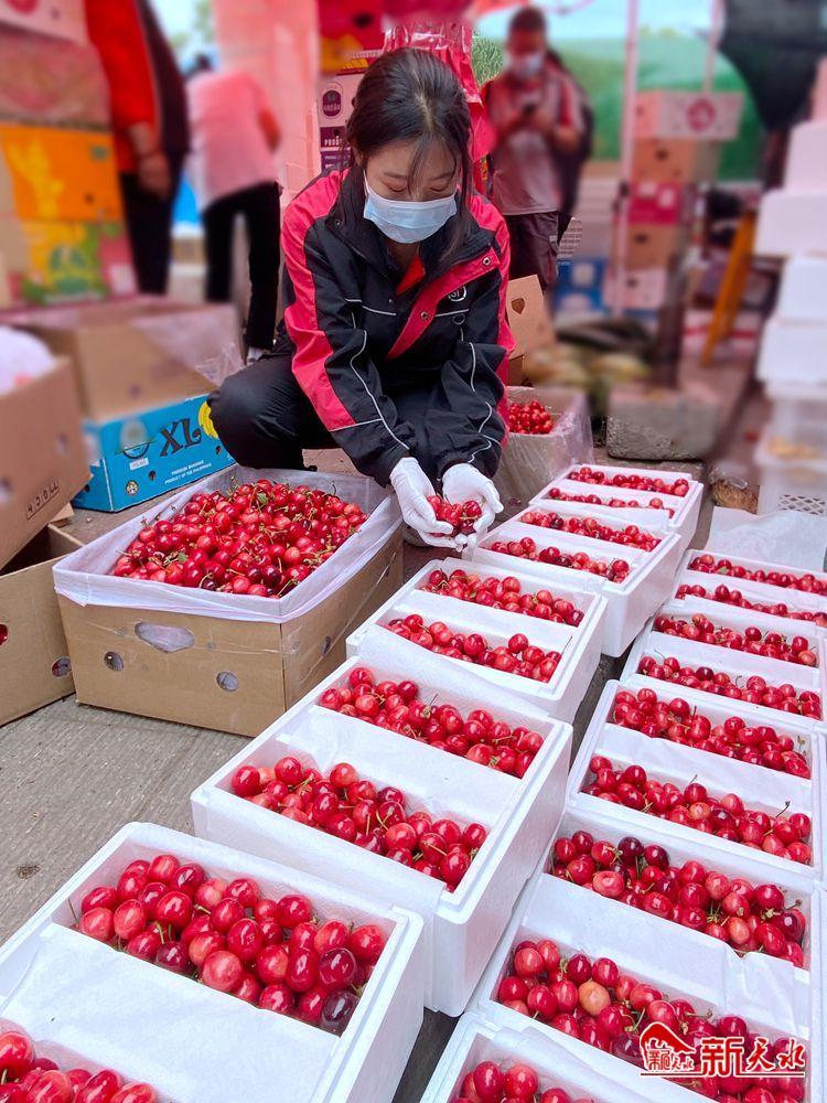 顺丰寄5斤樱桃价格表_顺丰邮寄表多少钱_顺丰快递寄琴价格