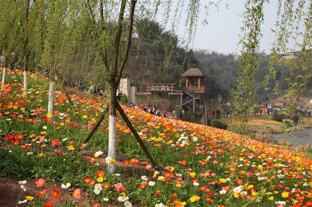 景点旅游阆中去旅游攻略_去阆中玩_阆中旅游十大必去景点