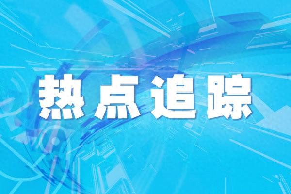 金木五行在本期打一数_什么是金木五行在本期的生肖_金木五行在本期是什么生肖