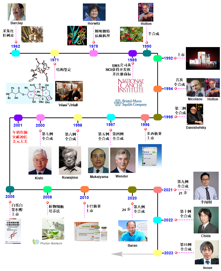 红豆杉图片_红豆杉图片原木_红豆杉图片大全大图高清