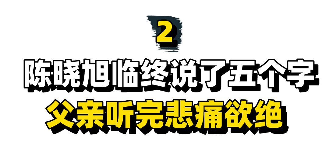 拒绝治疗陈晓旭的医生_拒绝治疗陈晓旭的人_陈晓旭为什么拒绝治疗