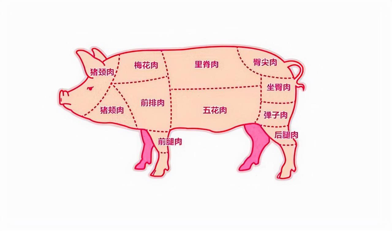 后尖肉是哪个部位_肉尖尖是什么意思_尖肉是哪个部位