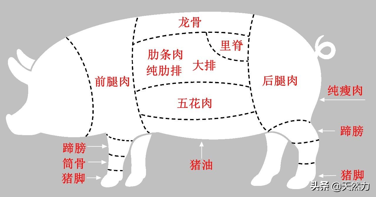 后尖肉是哪个部位_肉的前尖和后尖_肉尖尖是什么意思