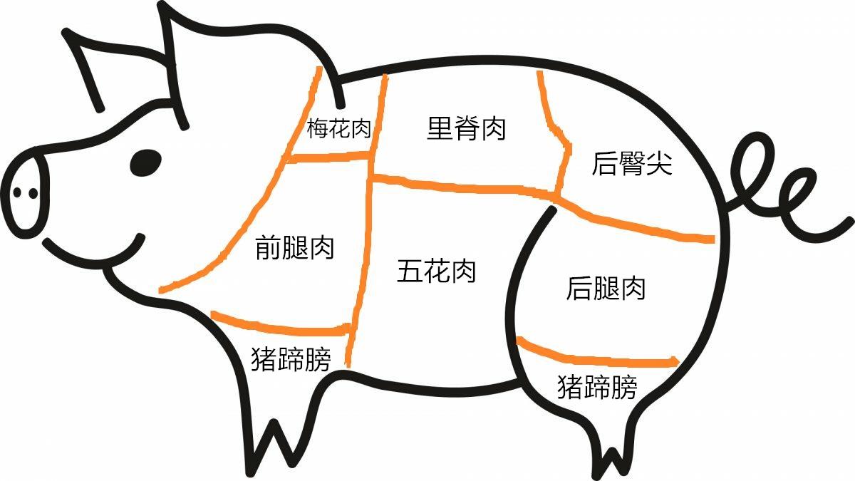 后尖肉是哪个部位_尖肉是哪个部位_后尖肉肥吗