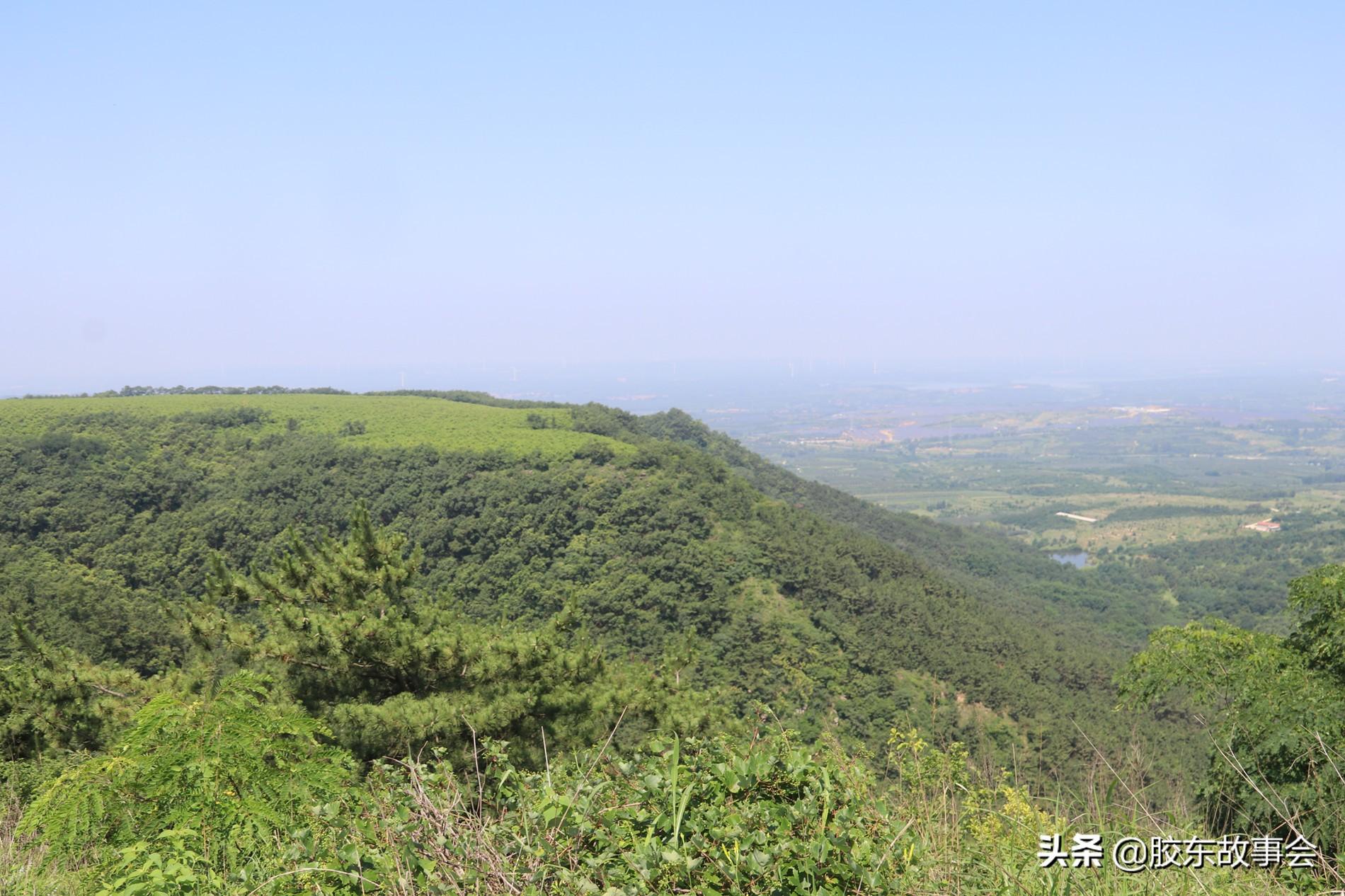 欧李种植骗局_欧李果图片_欧李