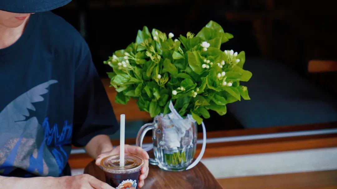 茉莉广场舞花一开就相爱_茉莉花_茉莉花花语