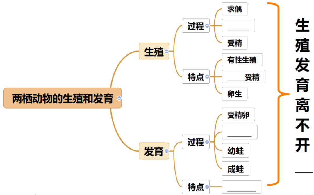 卫士田园动物是什么动物_田园卫士是什么动物_田园卫士的动物