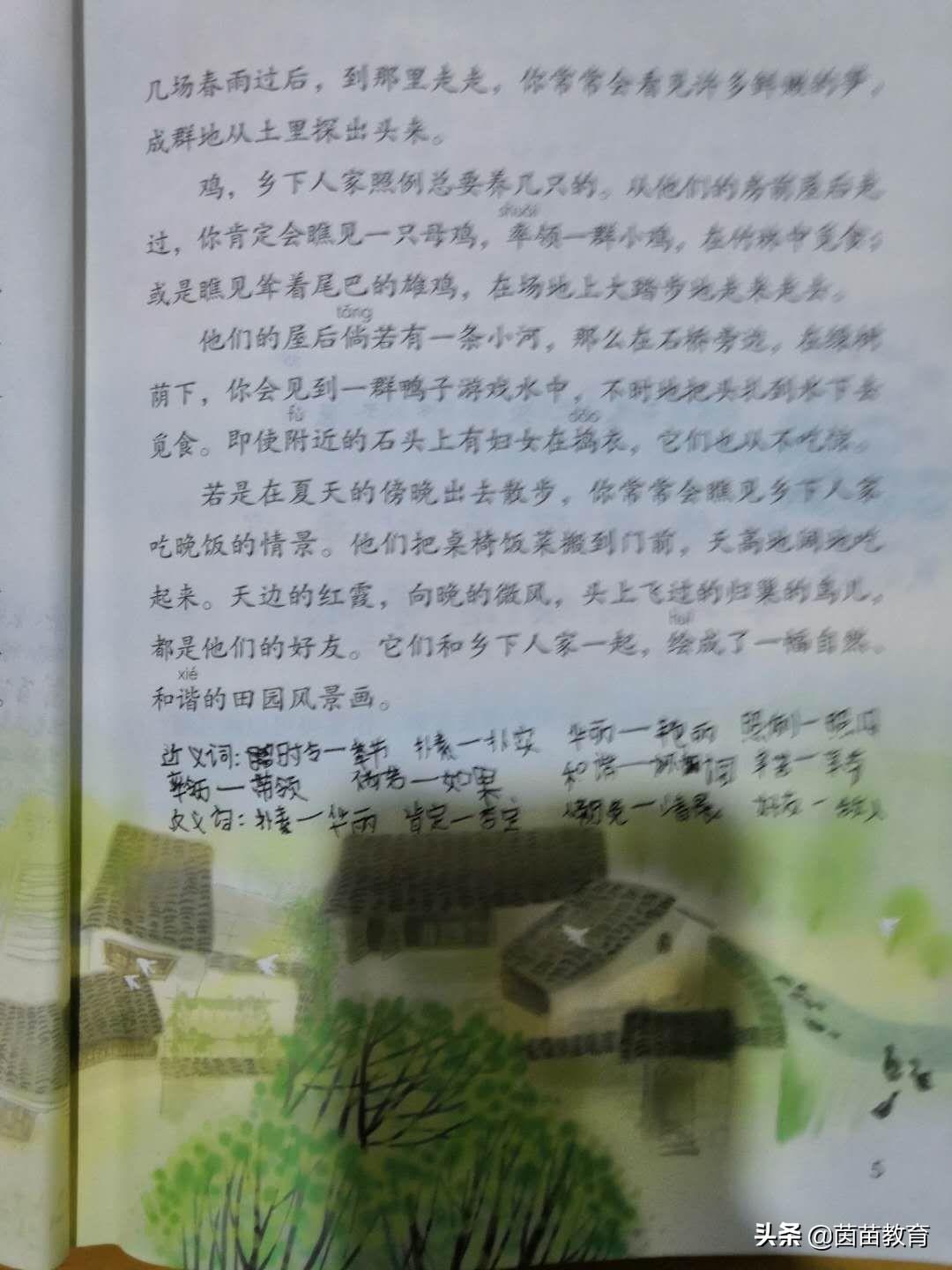 她组词4个字_侍四组词字_组词字组词