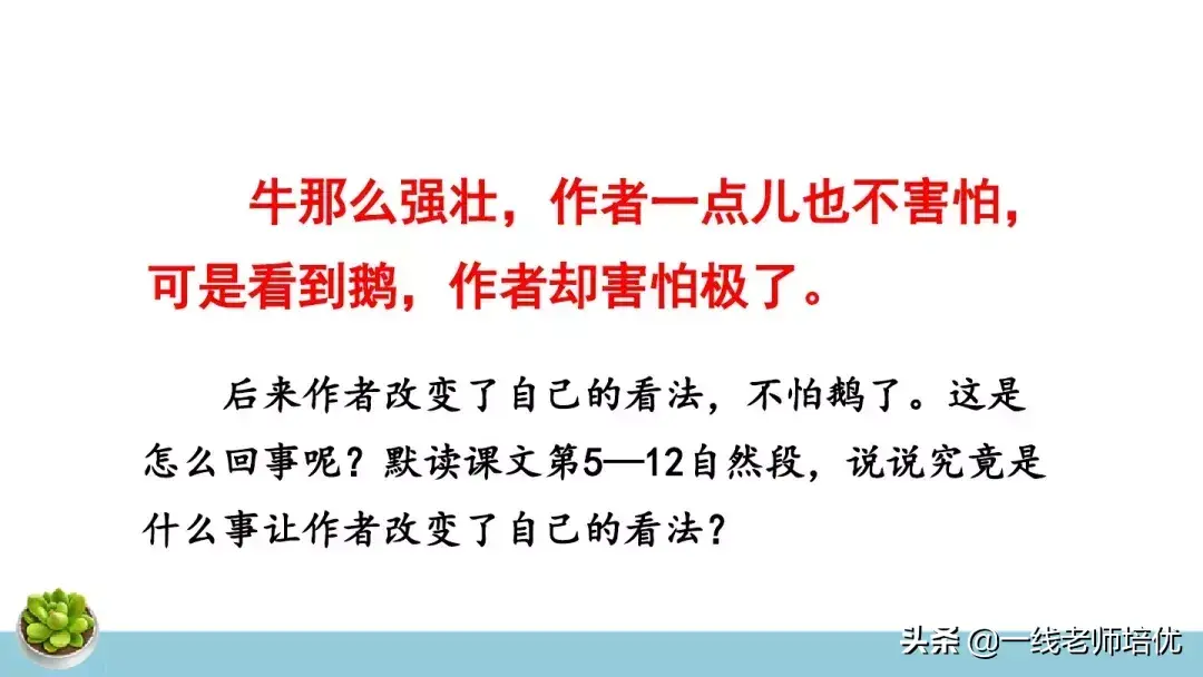 组词字组词_侍四组词字_她组词4个字