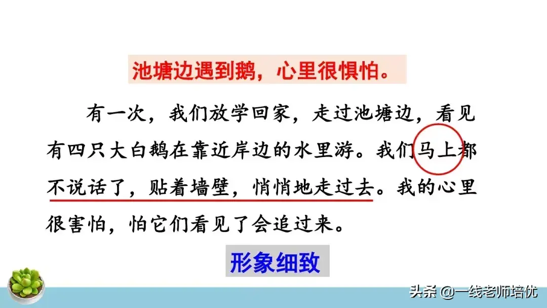 组词字组词_她组词4个字_侍四组词字