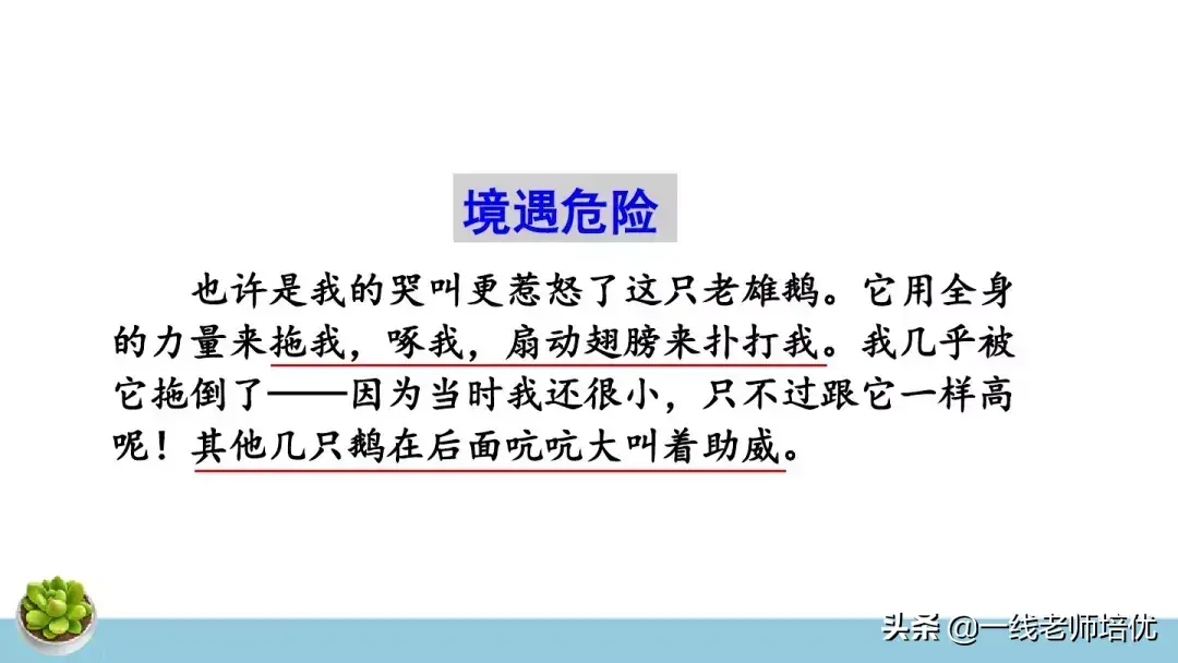 她组词4个字_组词字组词_侍四组词字