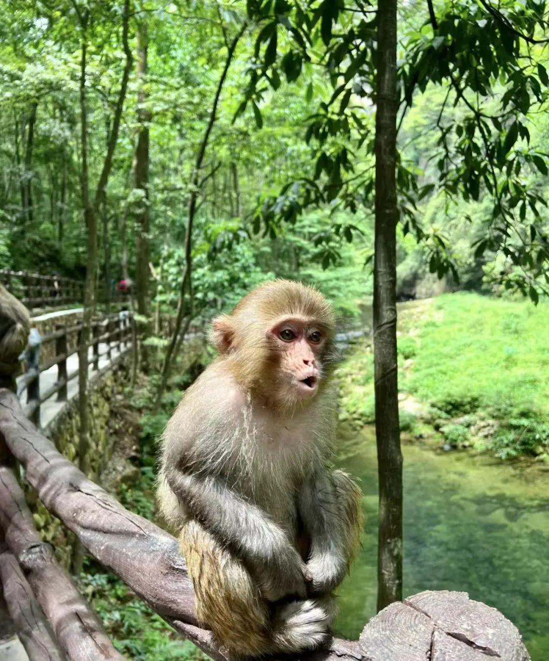 张家界住哪里比较好_张家界住什么酒店更好_张家界住好比较好的酒店