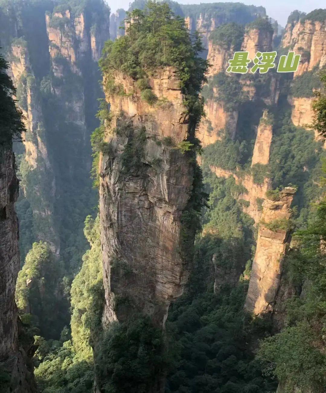 张家界住什么酒店更好_张家界住好比较好的酒店_张家界住哪里比较好