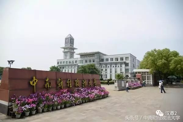 中南财经政法大学教务处官网_中南财经政法大学教务处_中南财经政法大学教务系统官网