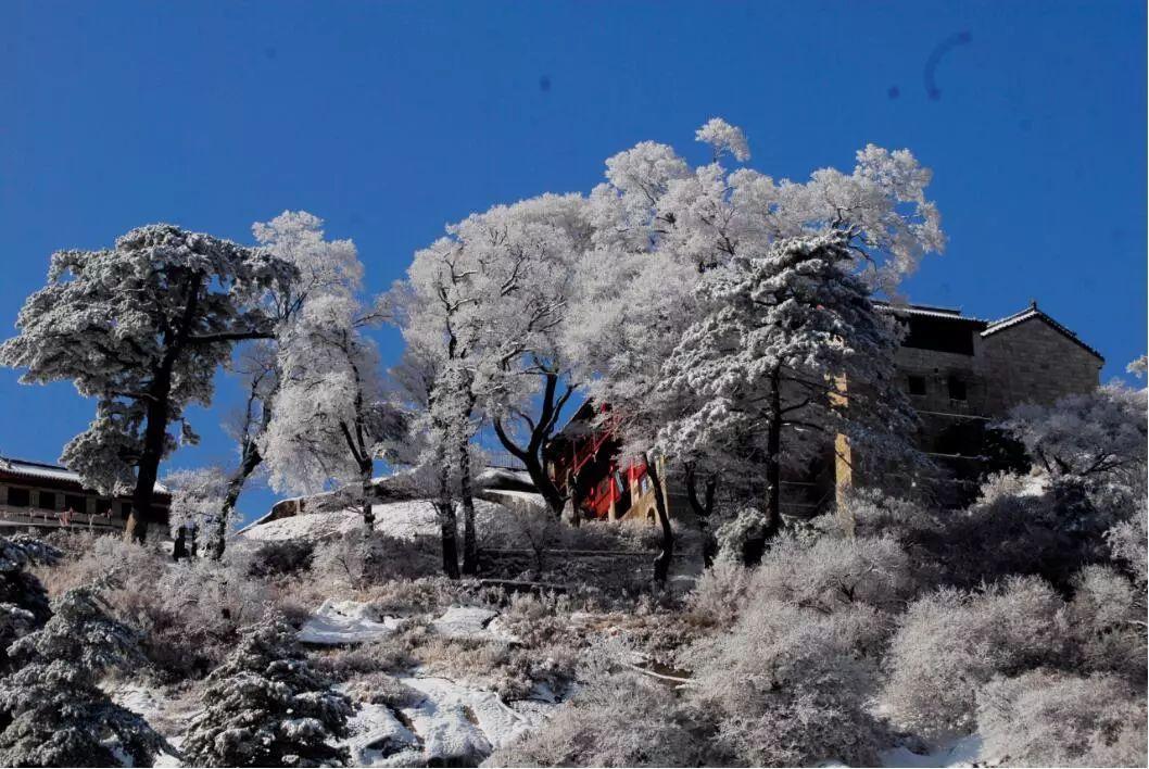 华山门票学生票多少钱_华山门票预约官网_华山门票