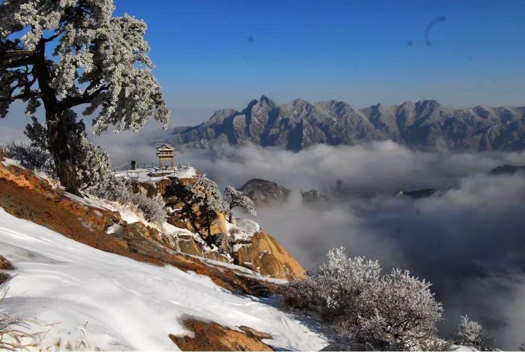 华山门票_华山门票预约官网_华山门票学生票多少钱