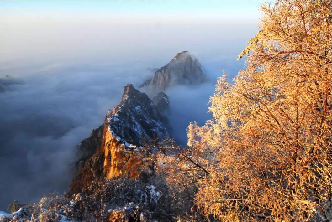 华山门票学生票多少钱_华山门票预约官网_华山门票