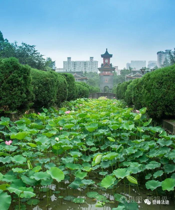 四川大学怎么样_四川大学秒懂百科_百度百科四川大学