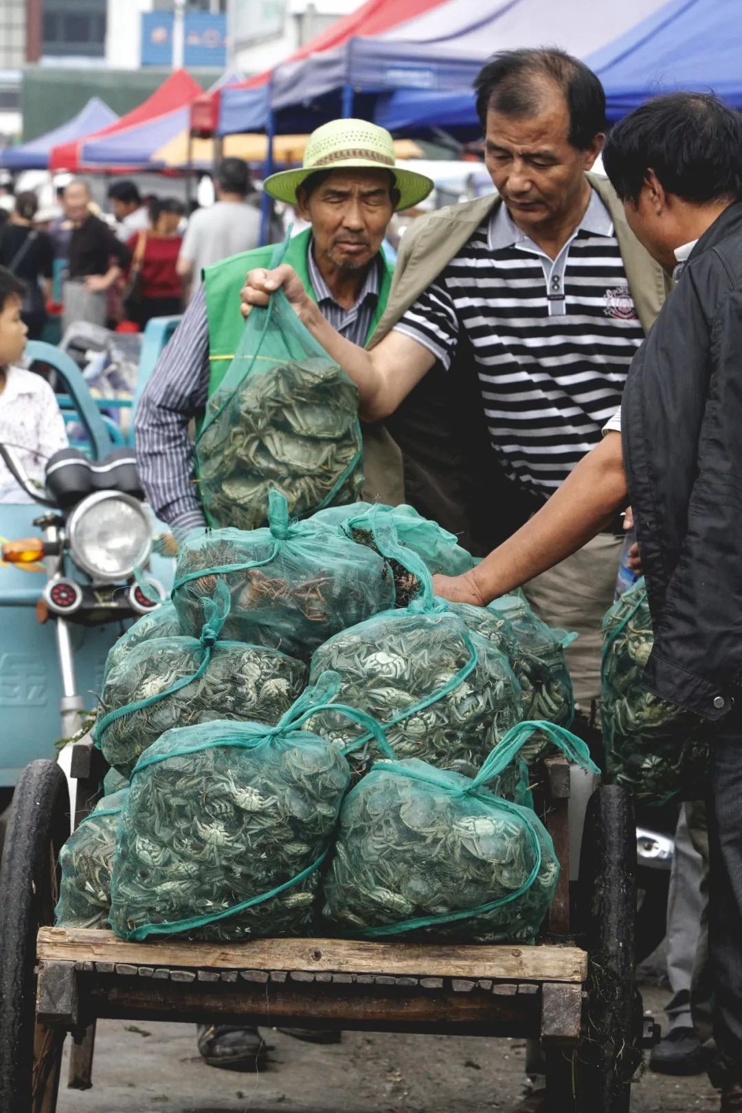 阳澄湖大闸蟹10只一箱多少钱_阳澄湖_阳澄湖医院