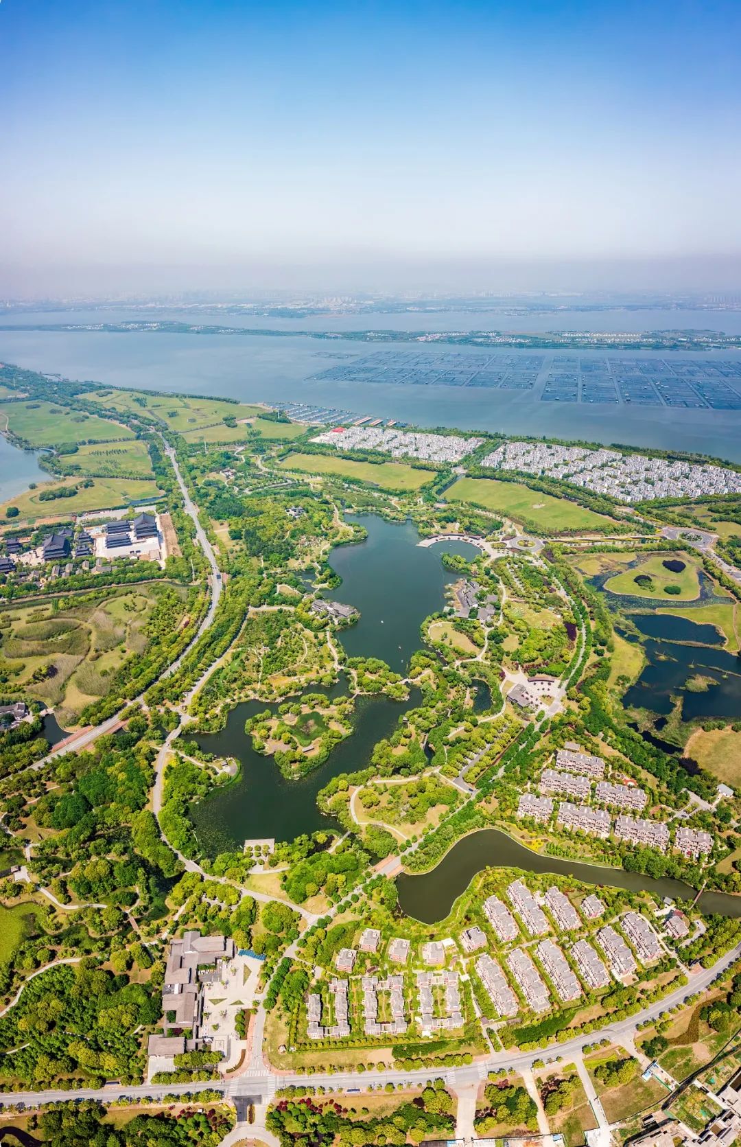 阳澄湖大闸蟹10只一箱多少钱_阳澄湖_阳澄湖医院