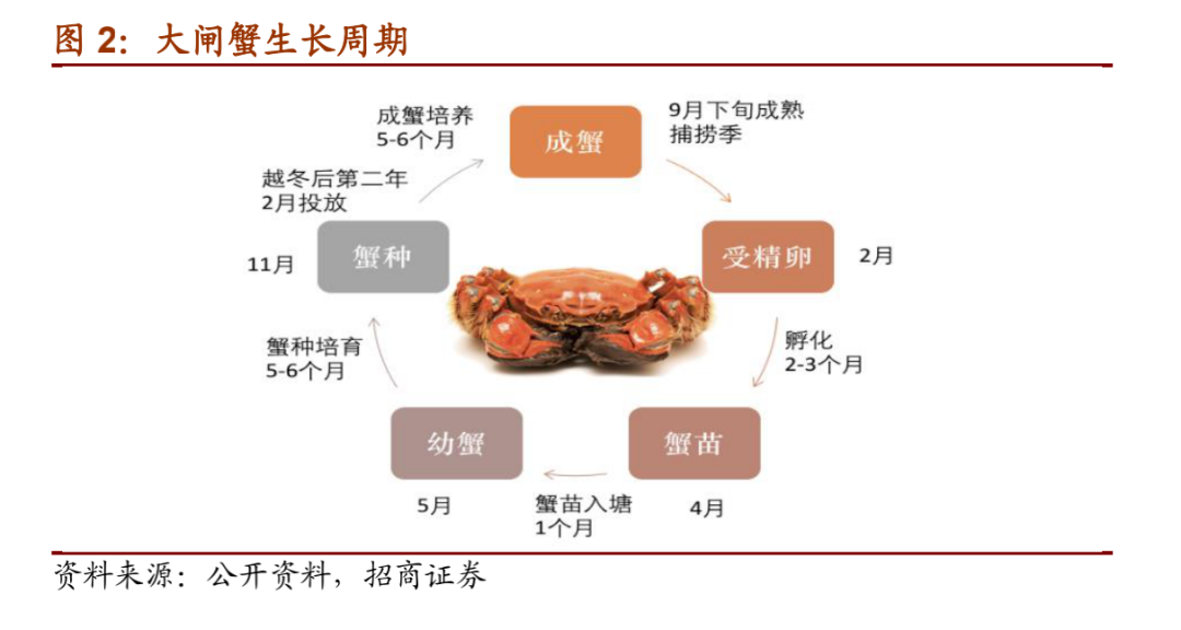 阳澄湖_阳澄湖大闸蟹10只一箱多少钱_阳澄湖大闸蟹价格2023