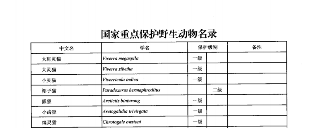 斑鸠保护动物几级_斑鸠是几级保护动物_斑鸠是几级保护动