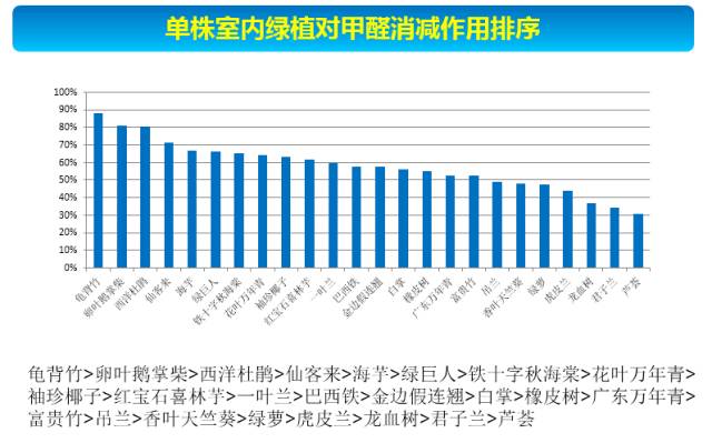 吊兰和绿萝吸甲醛哪个好_甲醛吸吊兰绿萝好吗_甲醛吸吊兰绿萝好养活吗