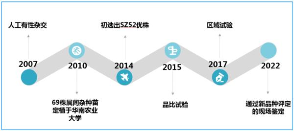 石龙眼作用与功效_龙眼石_wow龙眼石哪里换