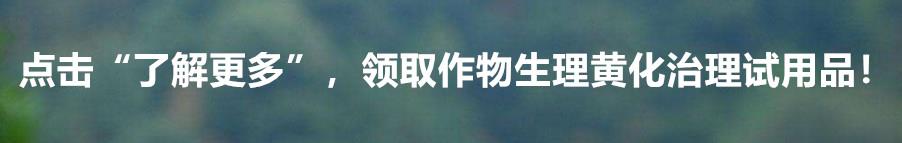 杀虫剂毒死蜱的使用范围_毒死蜱主要杀什么虫_杀虫剂毒死蜱