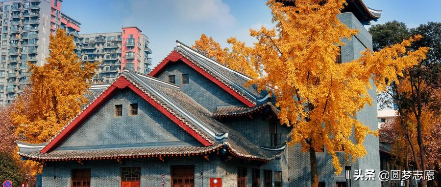 师范学校本科排名_一本师范大学排名_师范类大学本科排名