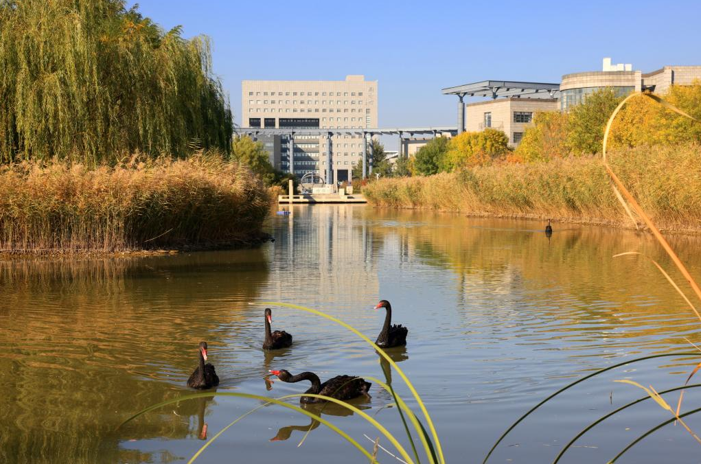 一本师范大学排名_师范学校本科排名_师范本科大学排名