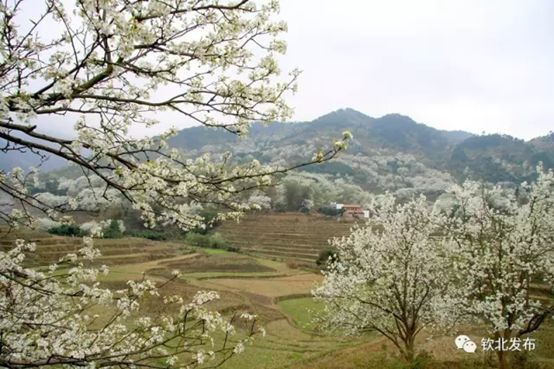 钦州景区_钦州十大景区旅游景点_钦州旅游景点攻略