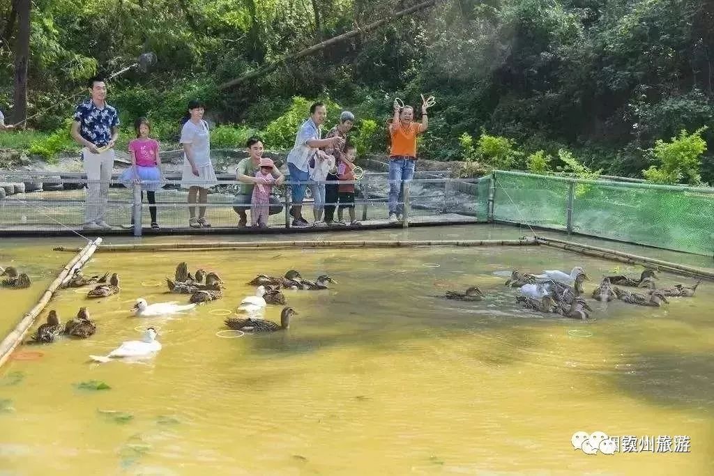 钦州景区_钦州旅游景点攻略_钦州十大景区旅游景点