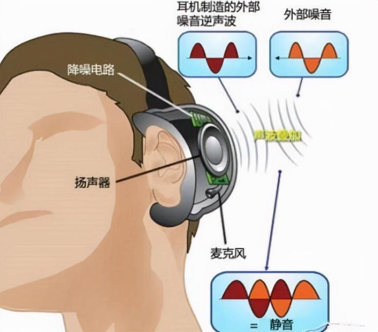 anc_anc奥尼_anc是什么意思