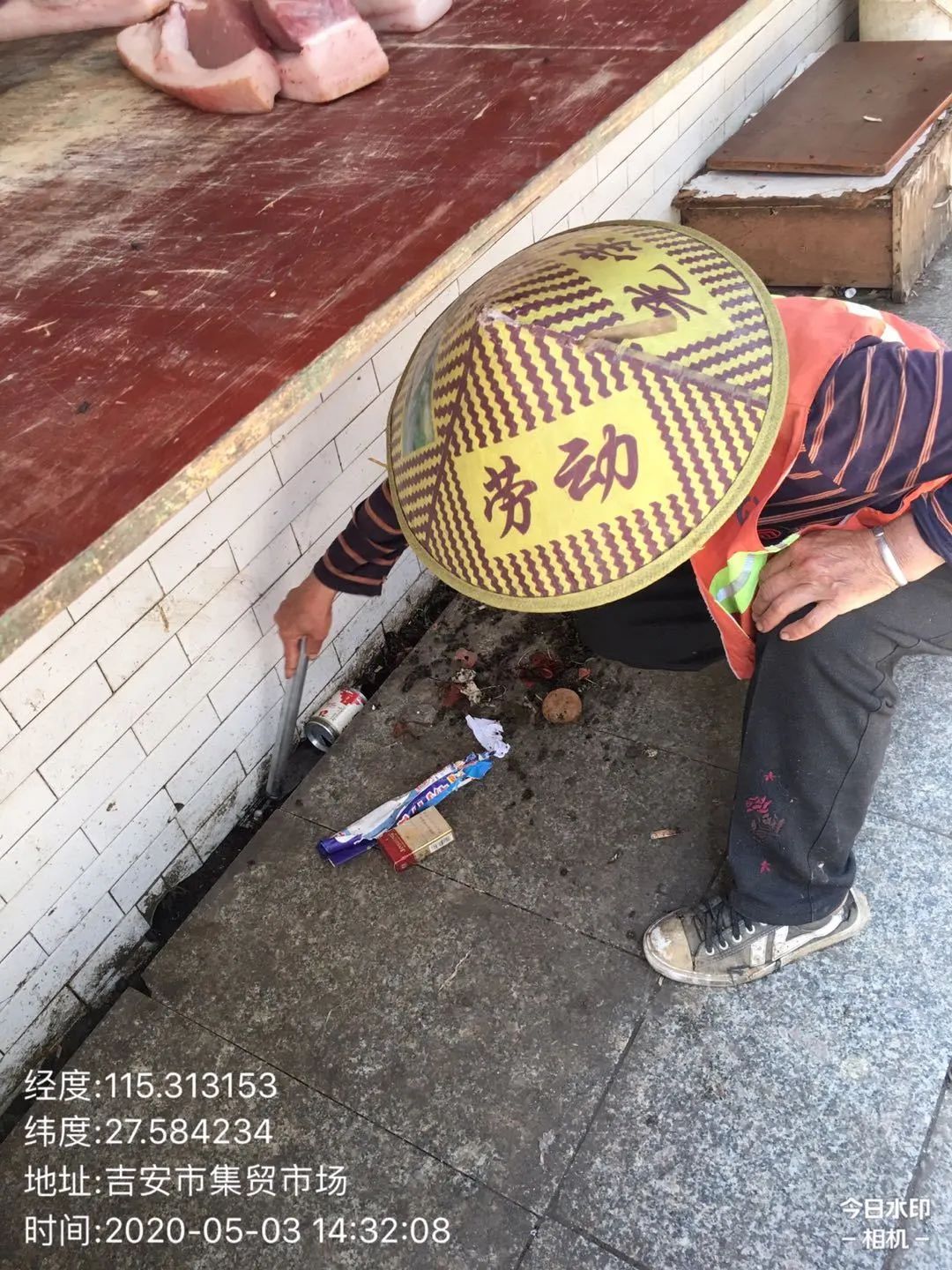 香泡树_香泡树_香泡树