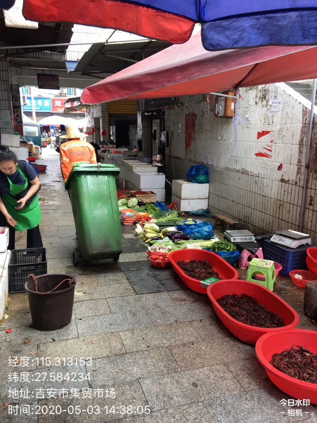 香泡树_香泡树_香泡树