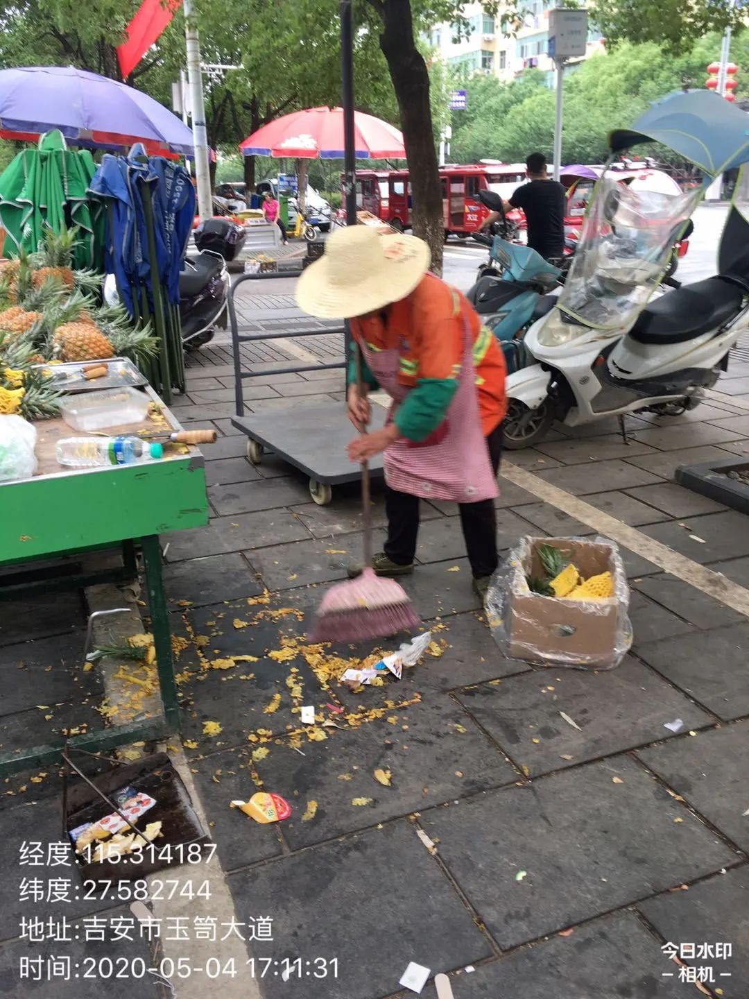 香泡树_香泡树_香泡树