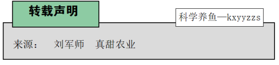 什么死法不会有任何感觉_死的时候会感觉到什么_死会有什么感觉