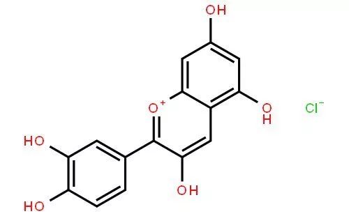 洛神花玛格丽特_洛神花_妃莉娅洛神花真假