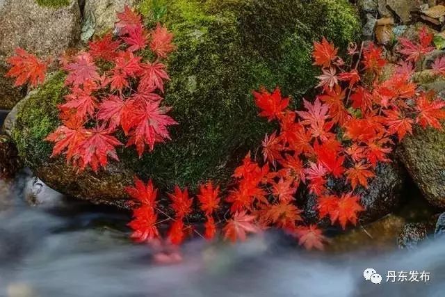 青山沟好吗_青山沟几月份去好_青山沟什么时候去更好