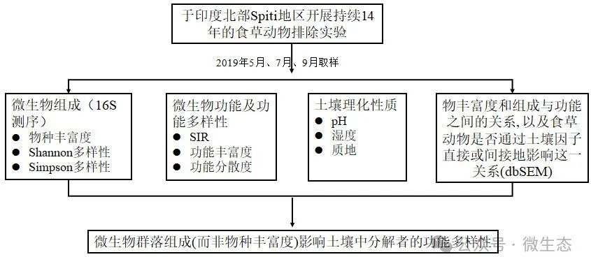 分解者的主要作用是什么_分解者的作用_分解者作用