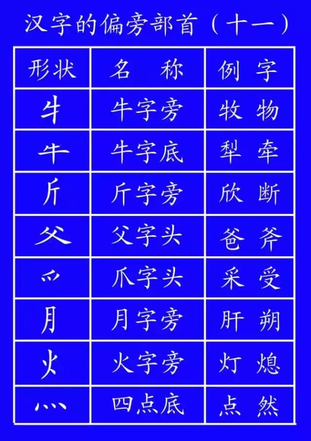 笔顺代码_代的笔顺_笔顺代表字