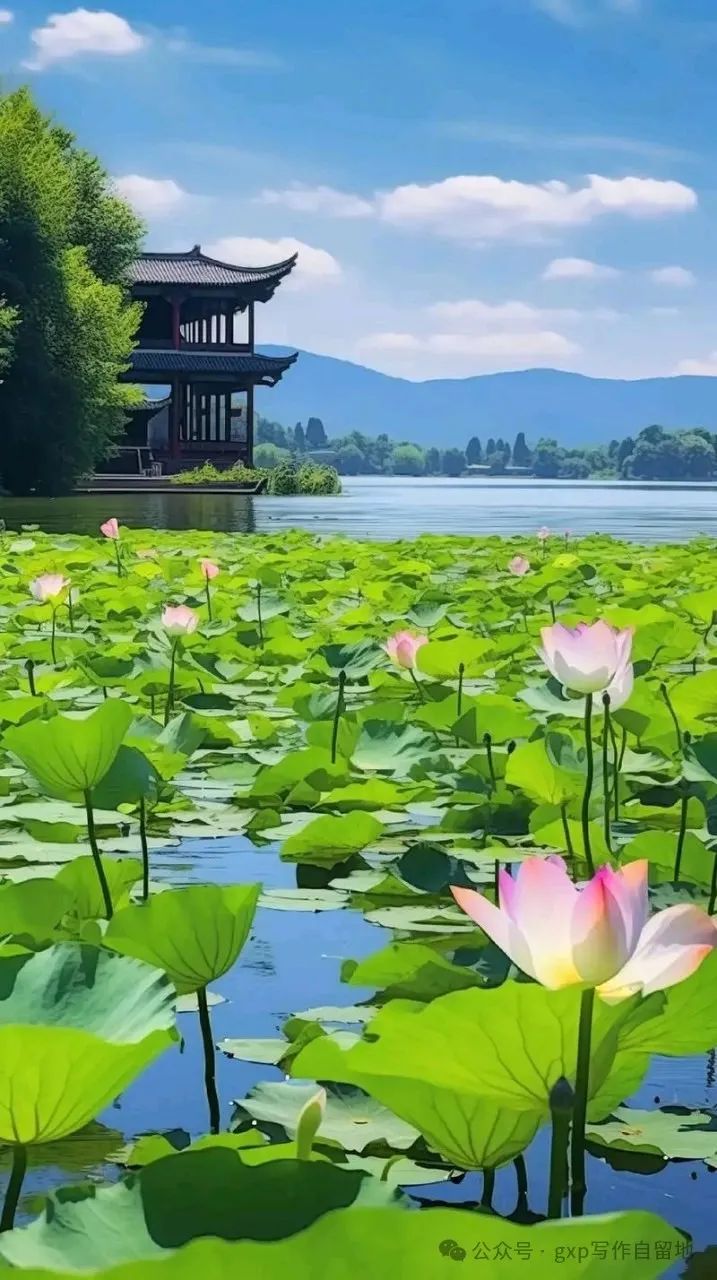 特产叫花鸡是什么意思_叫花鸡是哪里的特产_叫花鸡什么地方特产