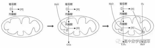 苏武传原文及翻译对照_苏武传对应翻译_苏武传对比映衬