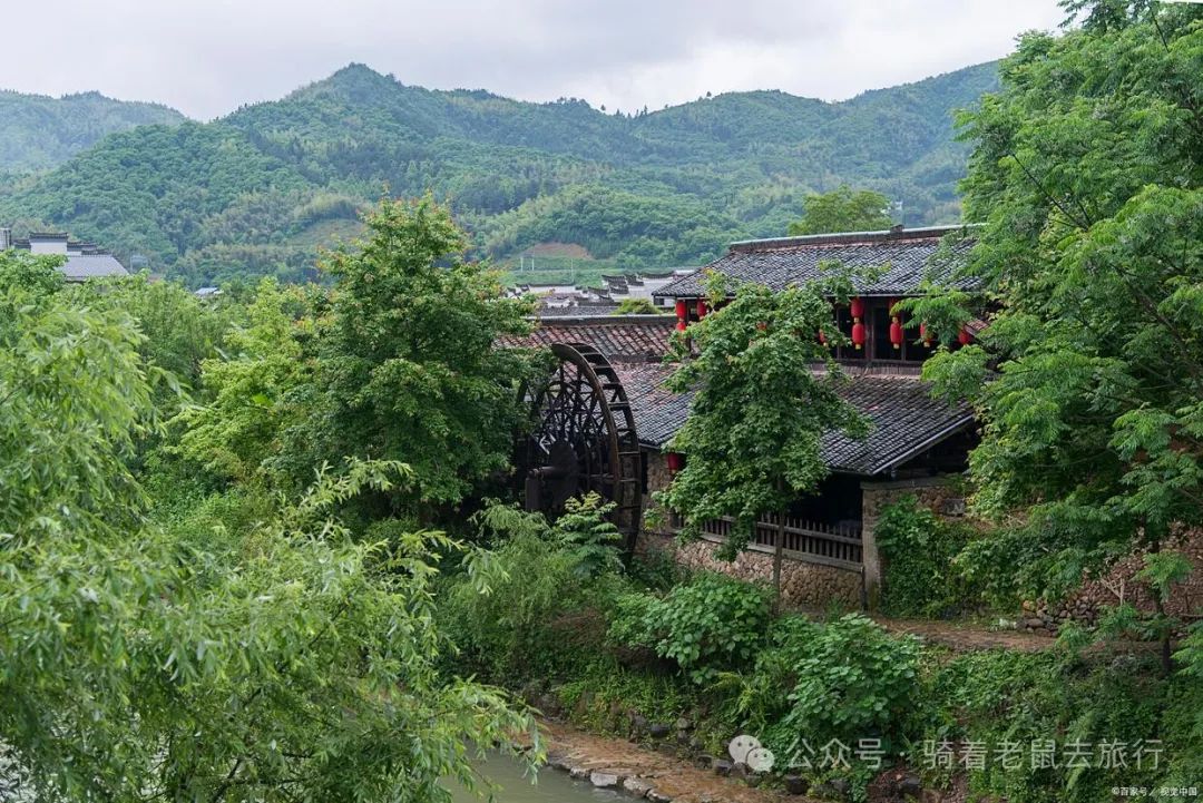 温州旅游攻略必去景点_温州旅游必去景点_温州景点攻略旅游去哪里